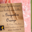 Gingembre Orange – Image 2